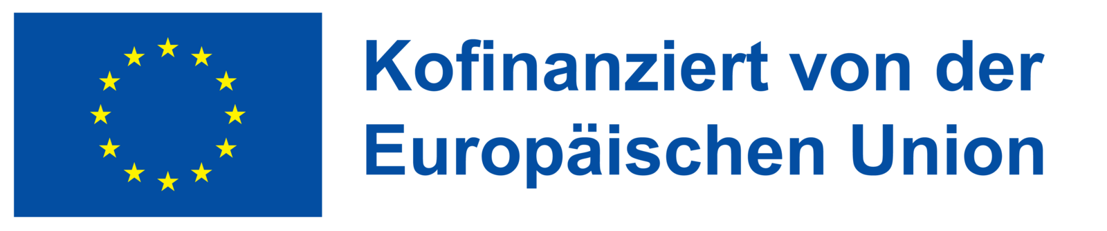 EU-Fahne mit Schriftzug "Kofinanziert von der Europäischen Union"