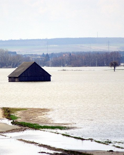 Foto Hochwasser