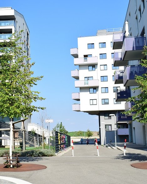 Mehrgeschossige Wohngebäude in der Seestadt Aspern